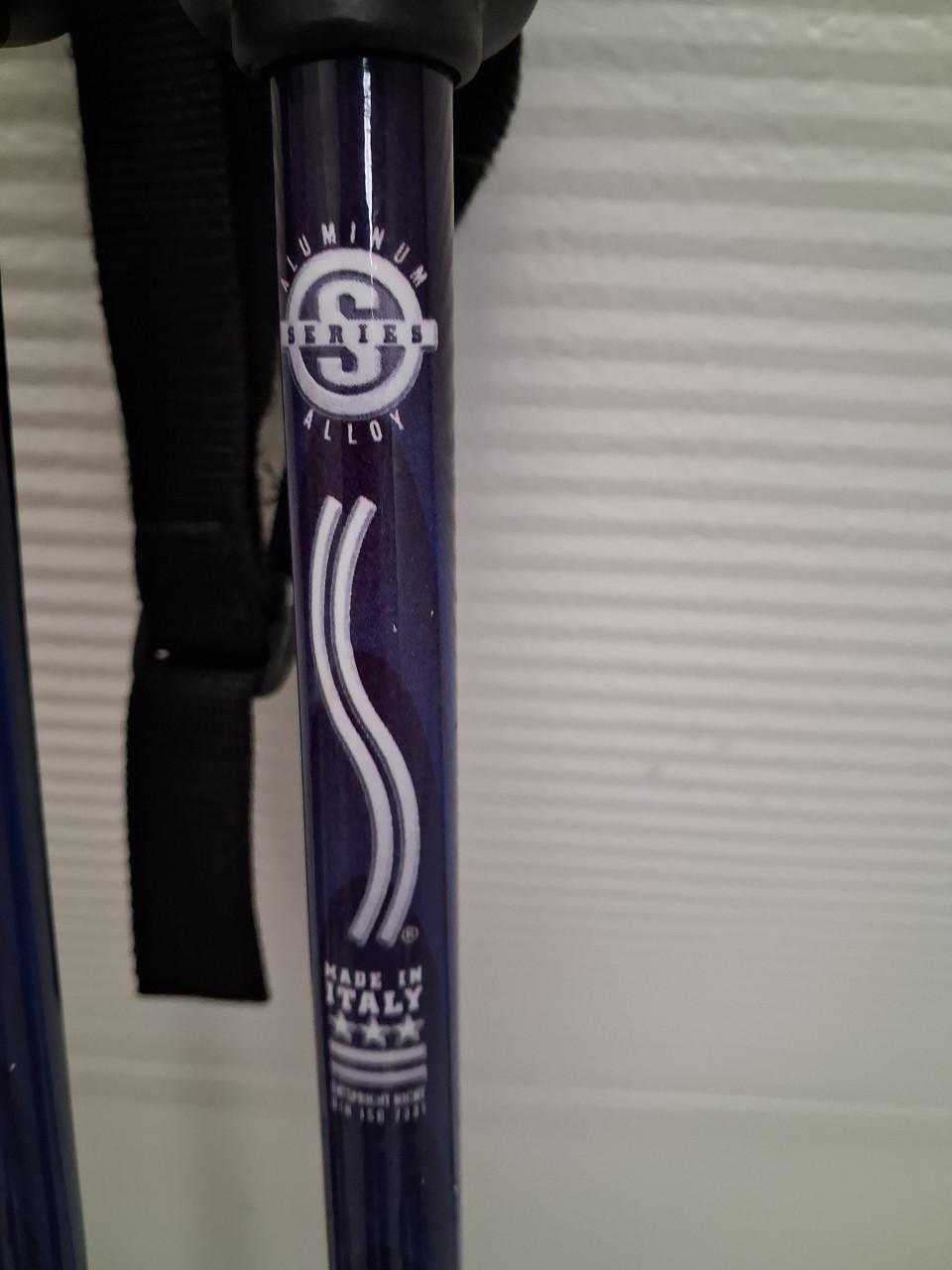 Ski's compleet met stokken.