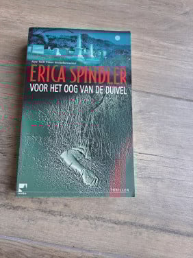 Thriller  Voor het oog van de duivel van Erica Spindler