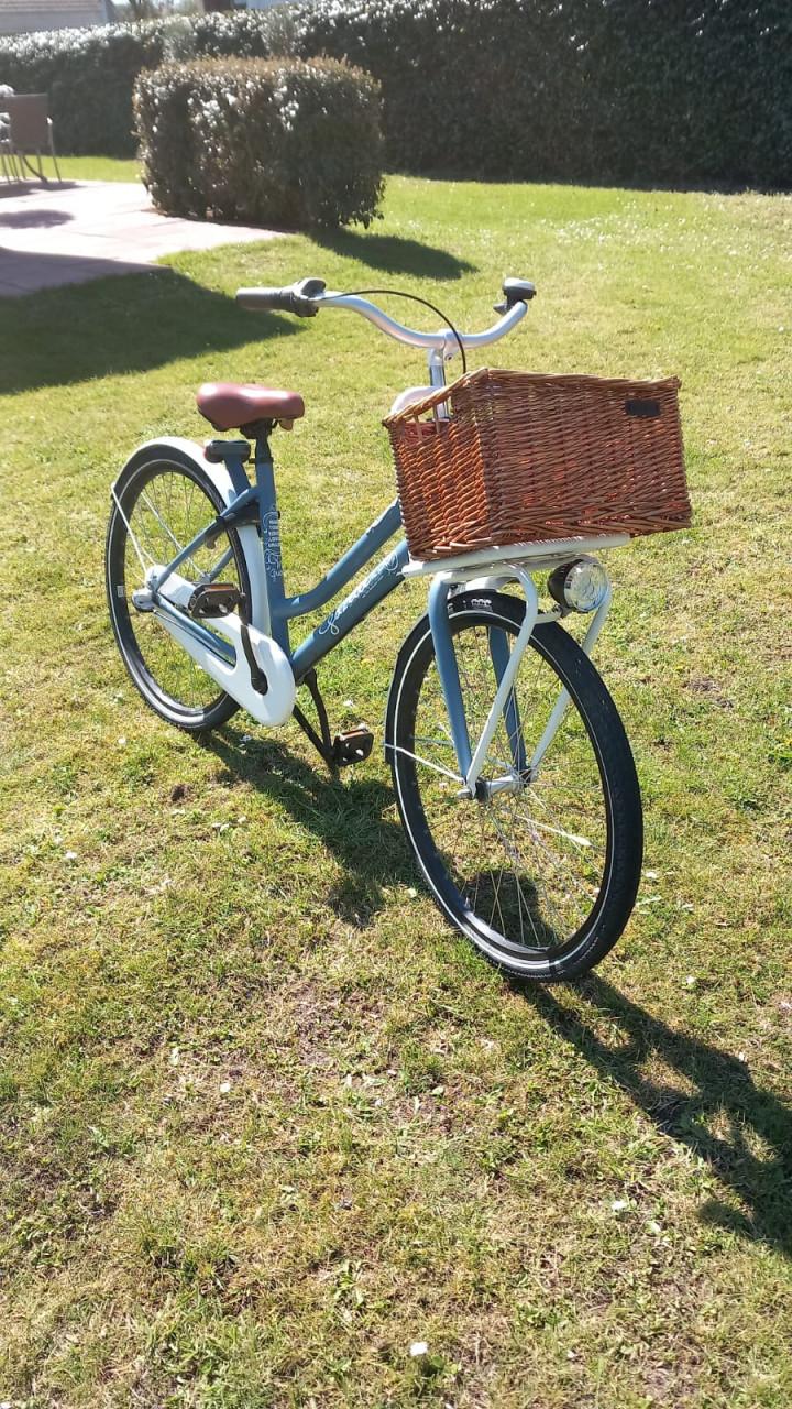 Gazelle Miss Grace meisjes/damesfiets 26 inch