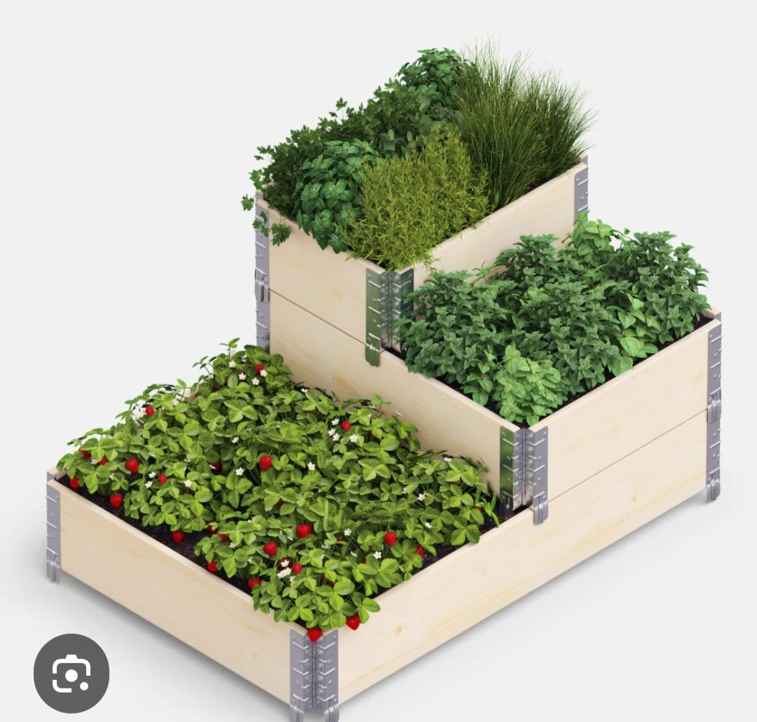 Moestuin bakken / palletranden