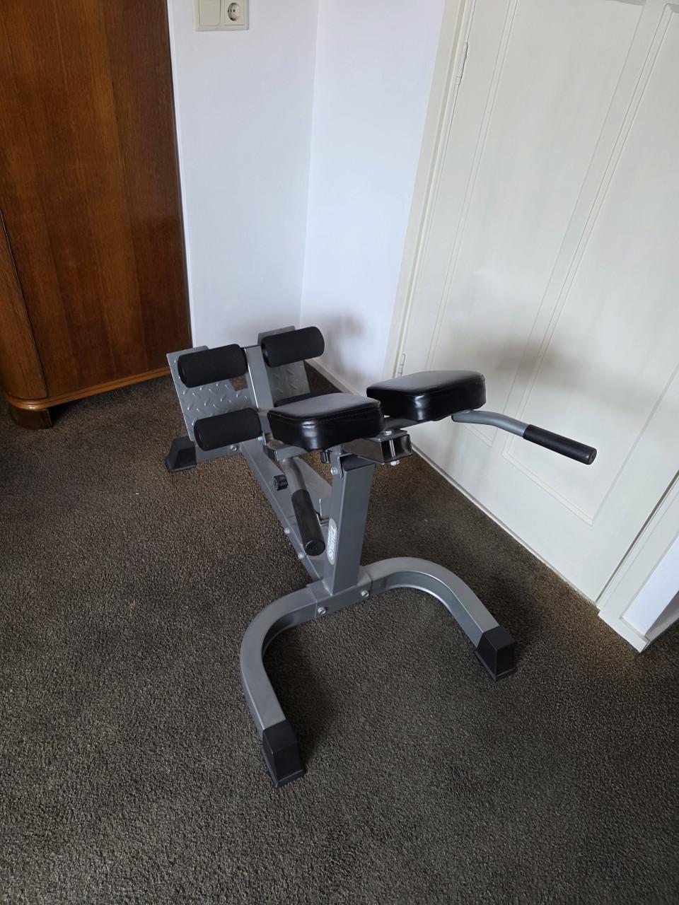 Rugtrainer/ Hyperextension / Roman Chair / Back Extension - €100