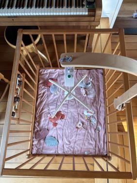 Baby-box, beukenhout, inklapbaar en met verhoging