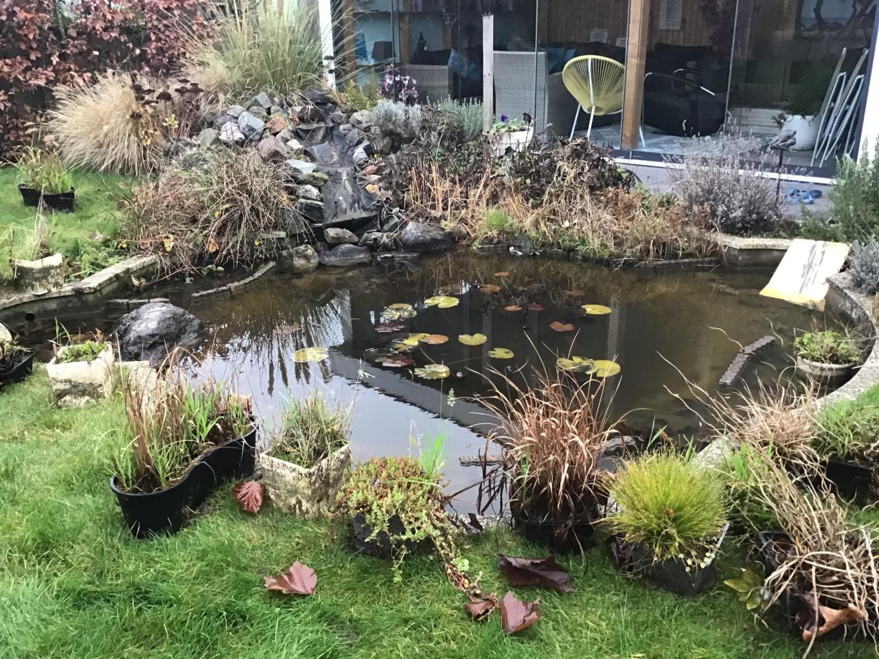 Vijverstenen, vijverplanten , kruik, etc