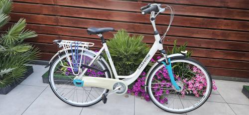 Gazelle Orange Plus Damesfiets