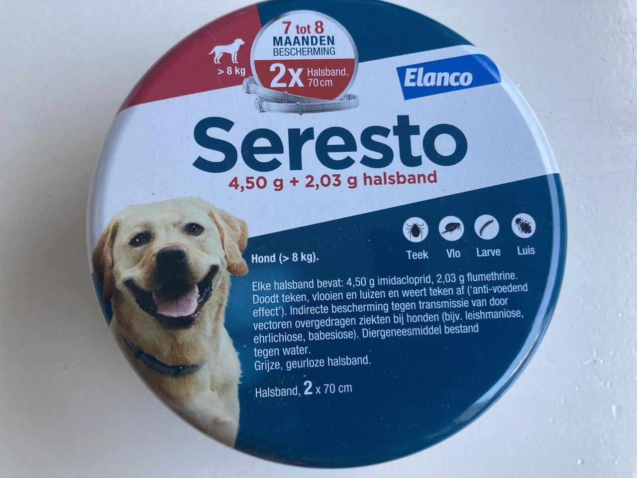 Hond