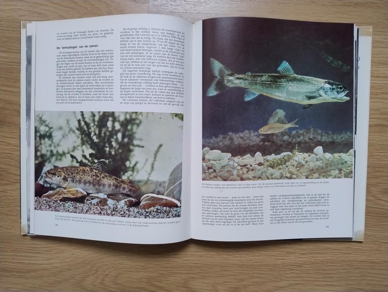 Complete 10 delige serie over de Geheimen van het Dierenrijk