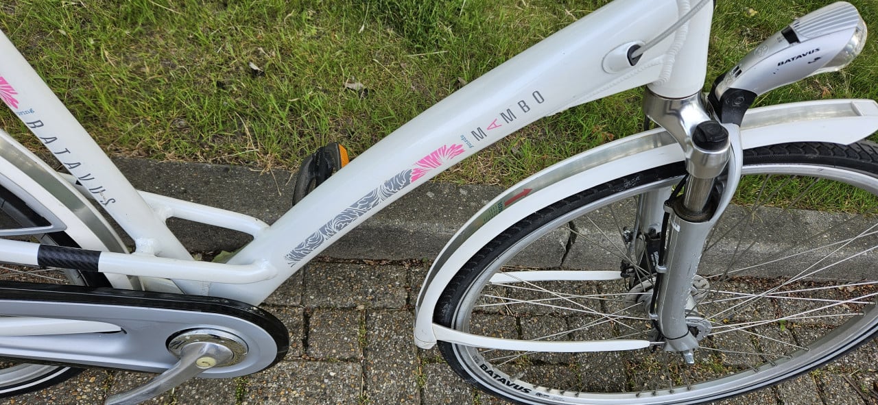 Batavus Mambo damesfiets