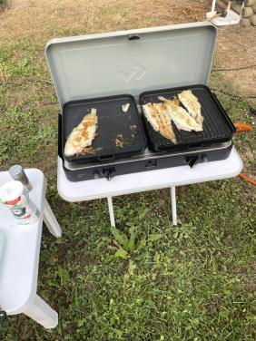 Camping