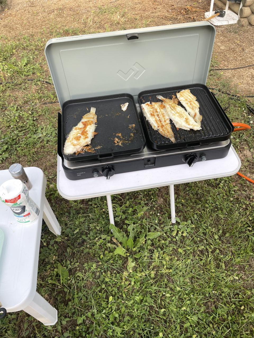 Camping