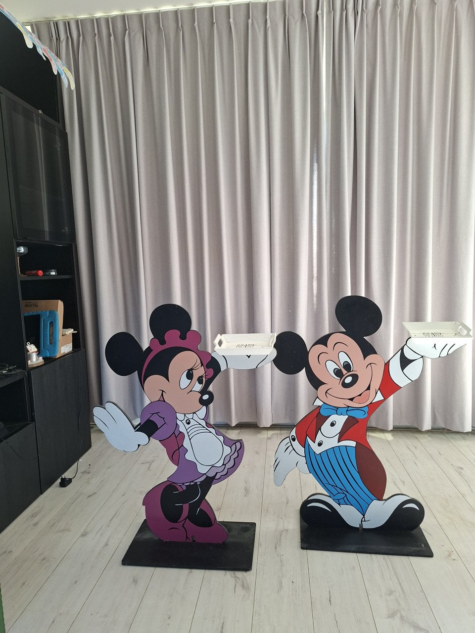 Mickey en Minnie mouse