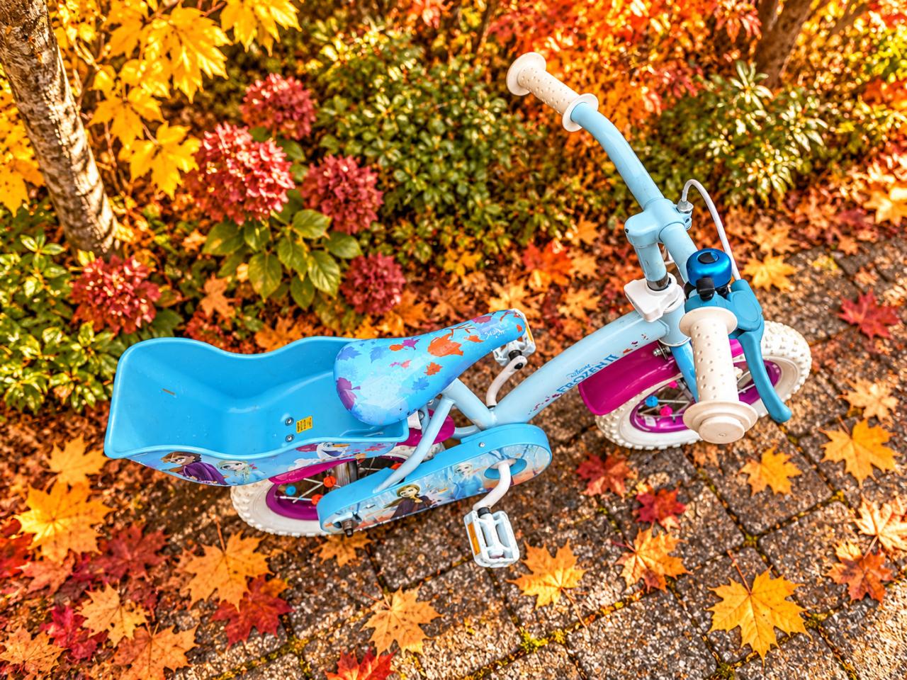 🚲 Disney Frozen II Meisjesfiets 12 inch