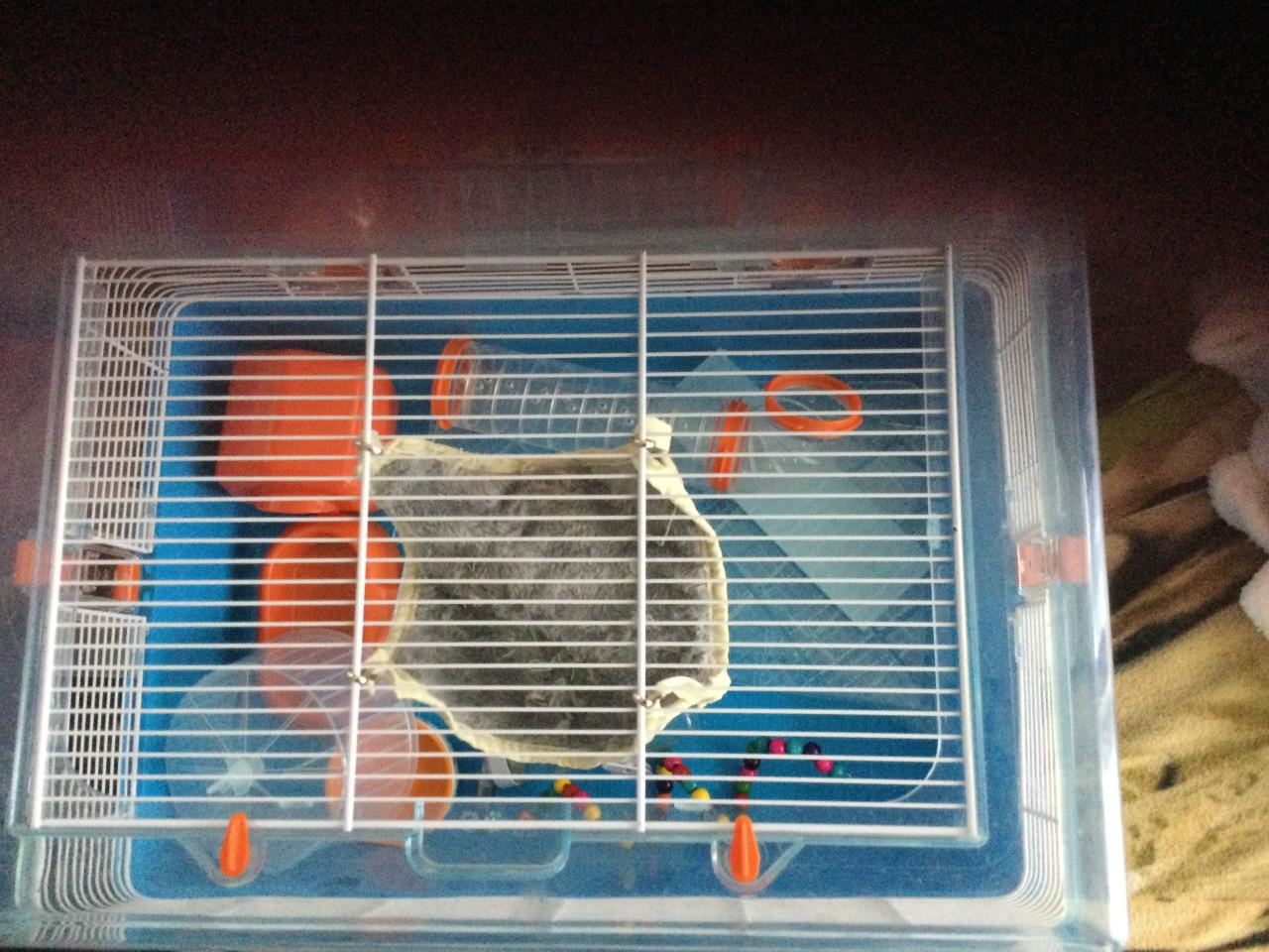 Hamster kooi met toebehoren
