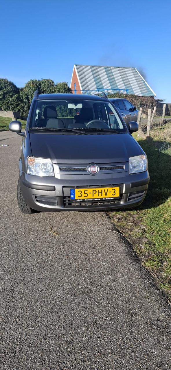 Fiat panda