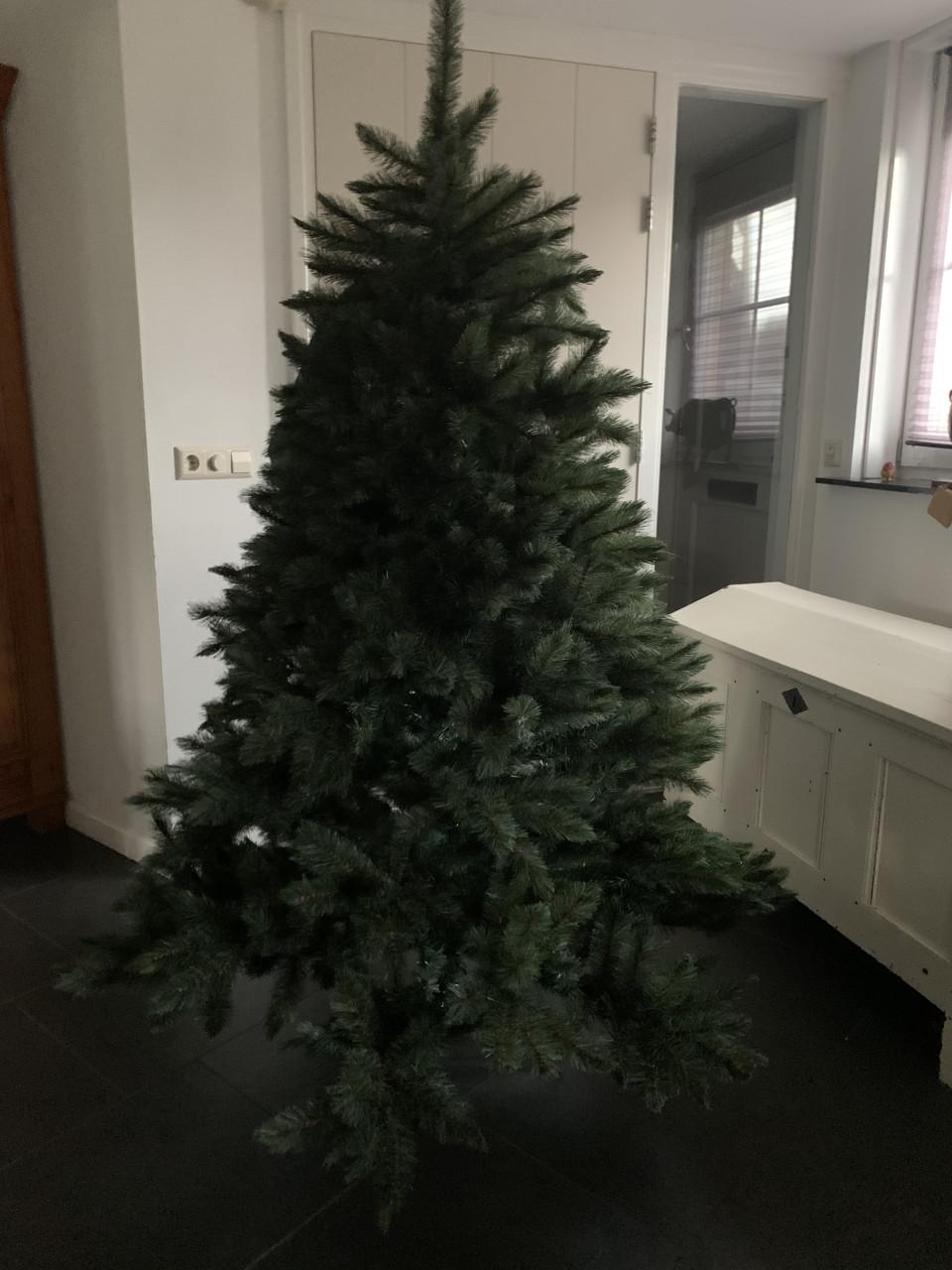 Kerstboom 1.85 m hoog Intratuin 1 jaar oud!