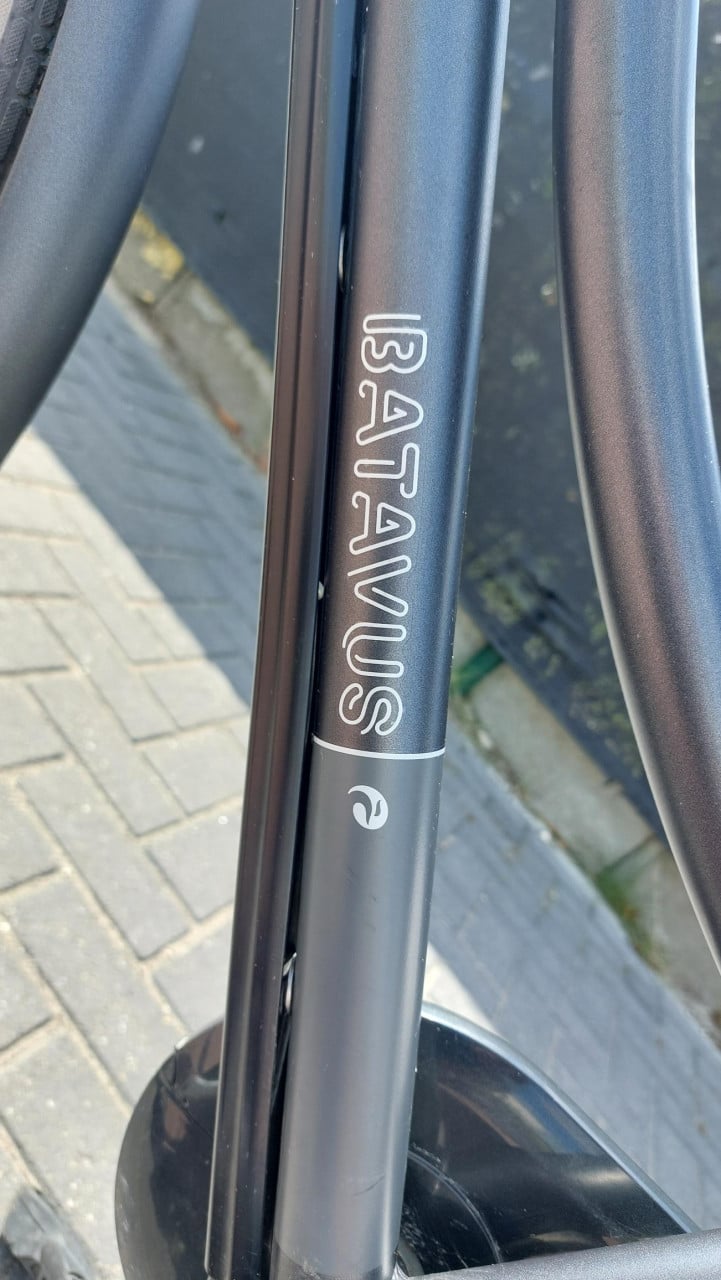 Elektrische dames fiets