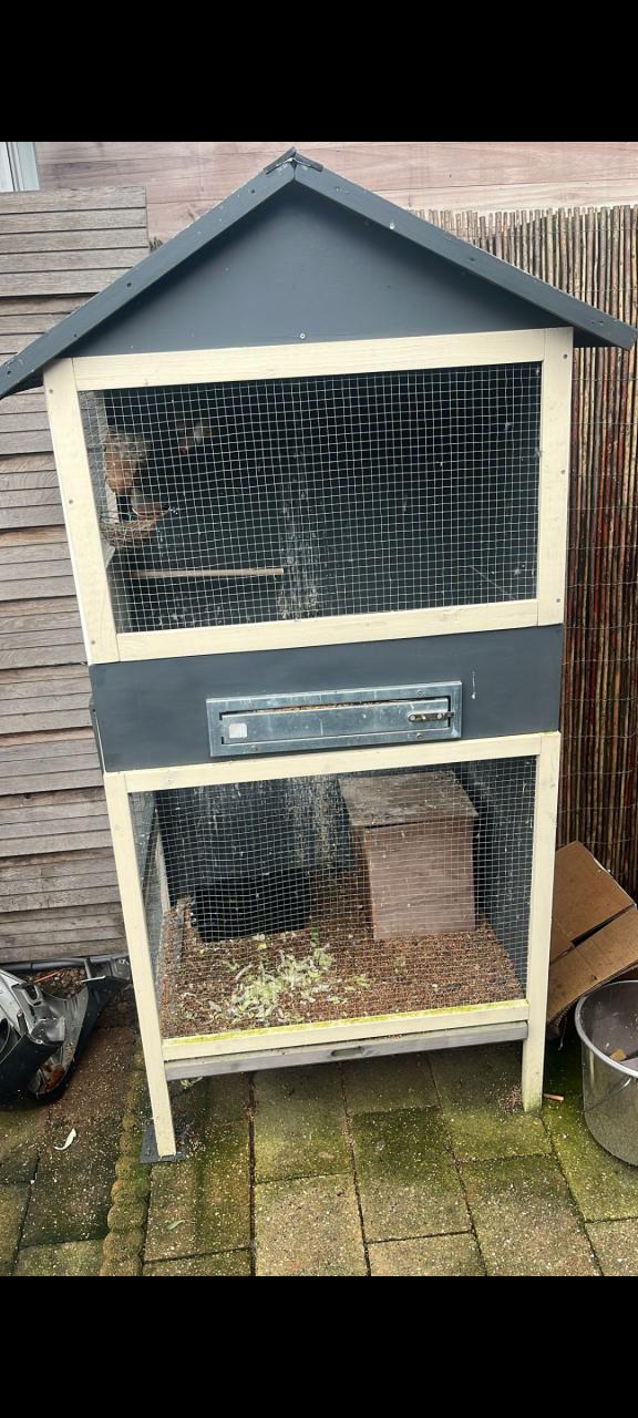 Volière met 4 vogels