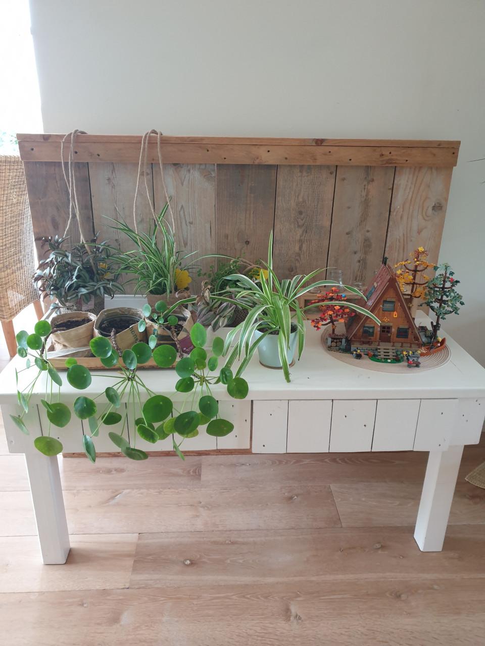 Lage speeltafel met lades