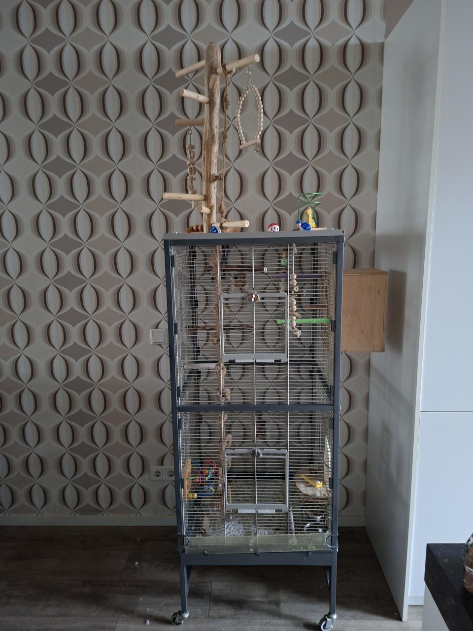 Muisparkieten  met kooi