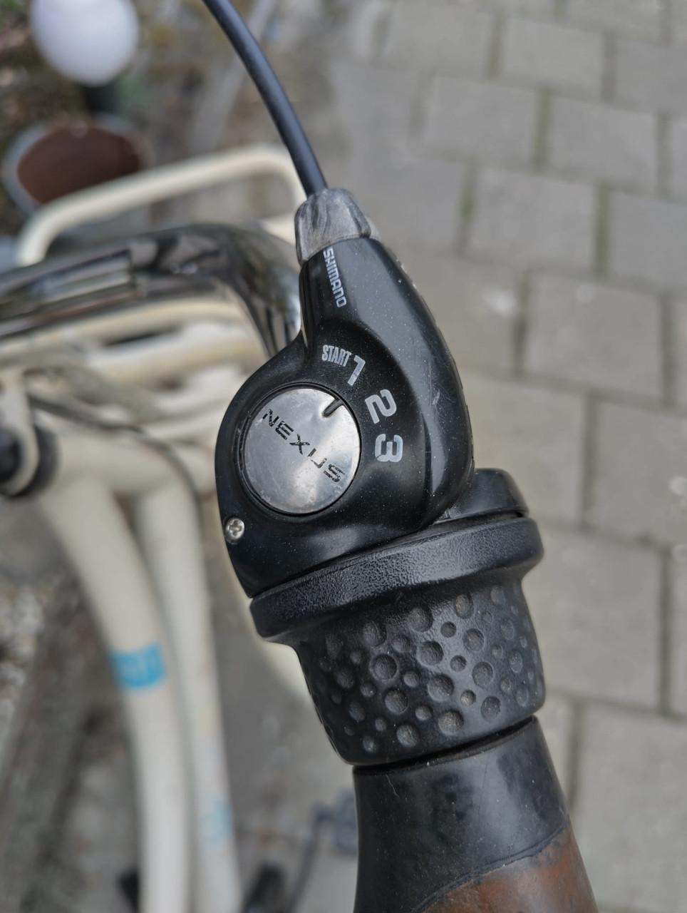 Cortina grote meiden fiets