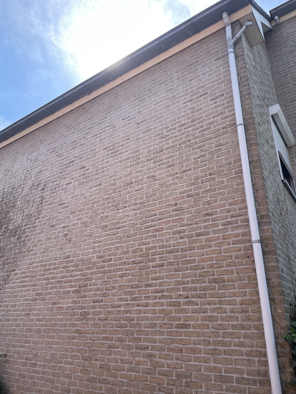 Tuinonderhoud