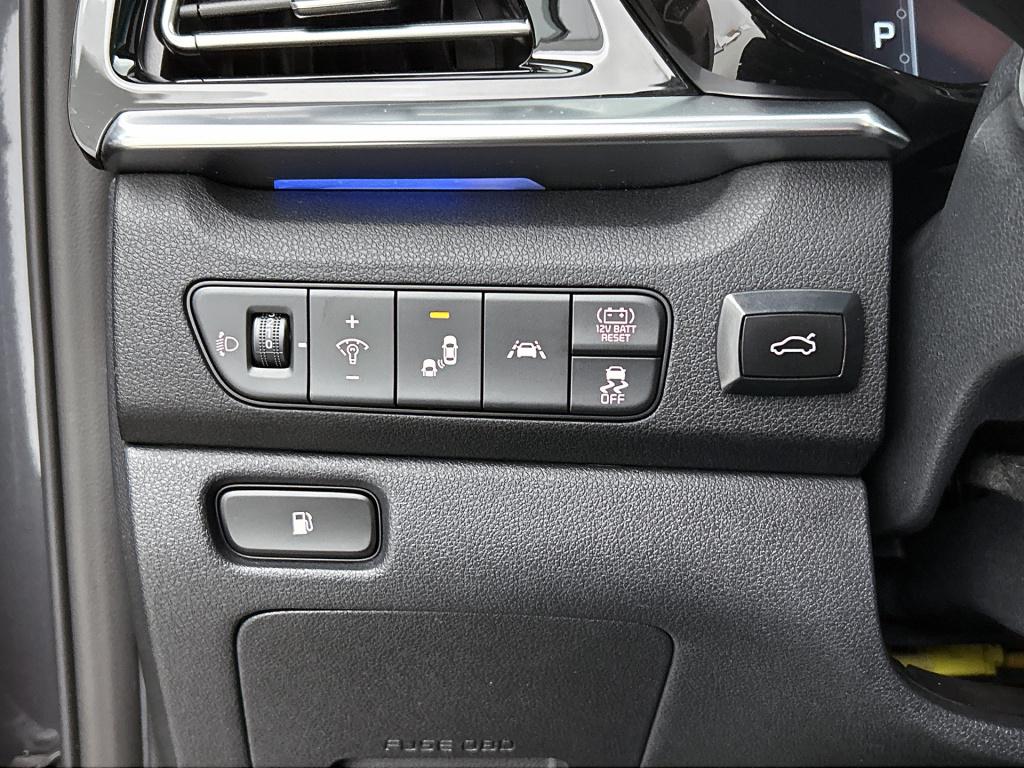 Kia Niro 1.6 gdi hybrid executiveline | uniek leder |