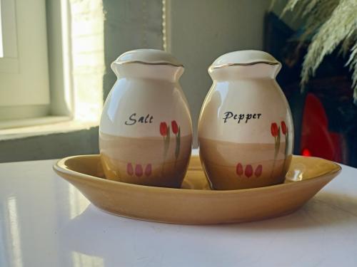 Vintage keramisch peper- en zoutstel met bijhorend onderbord