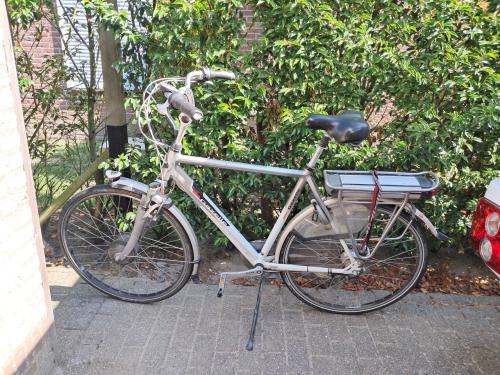 Te koop elektrische fiets