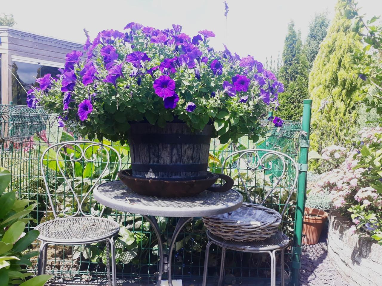 Nestkast voor bijen en vlinders insectenhotel