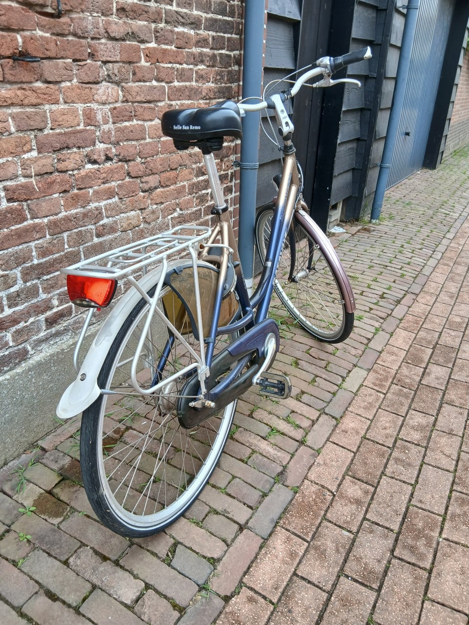 Batavus