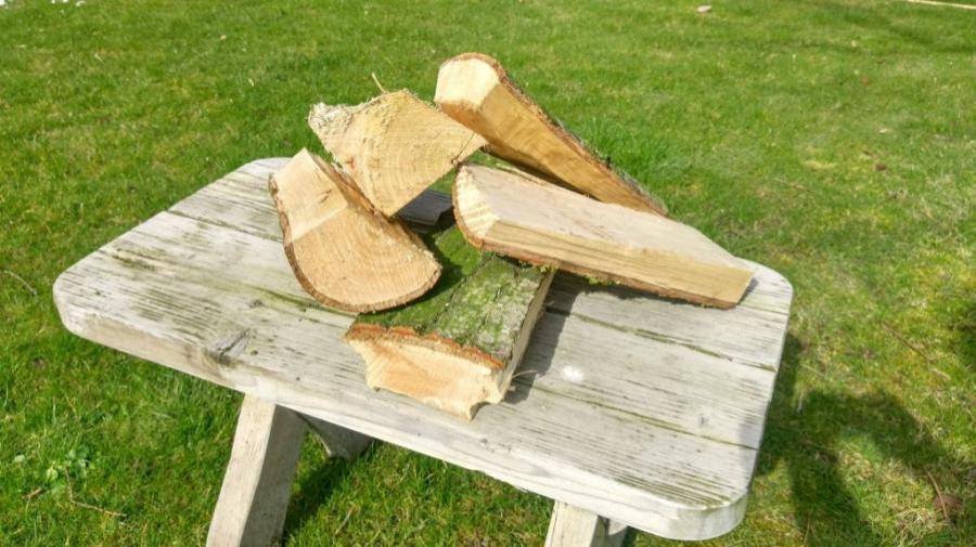 Haardhout Eik beuk es