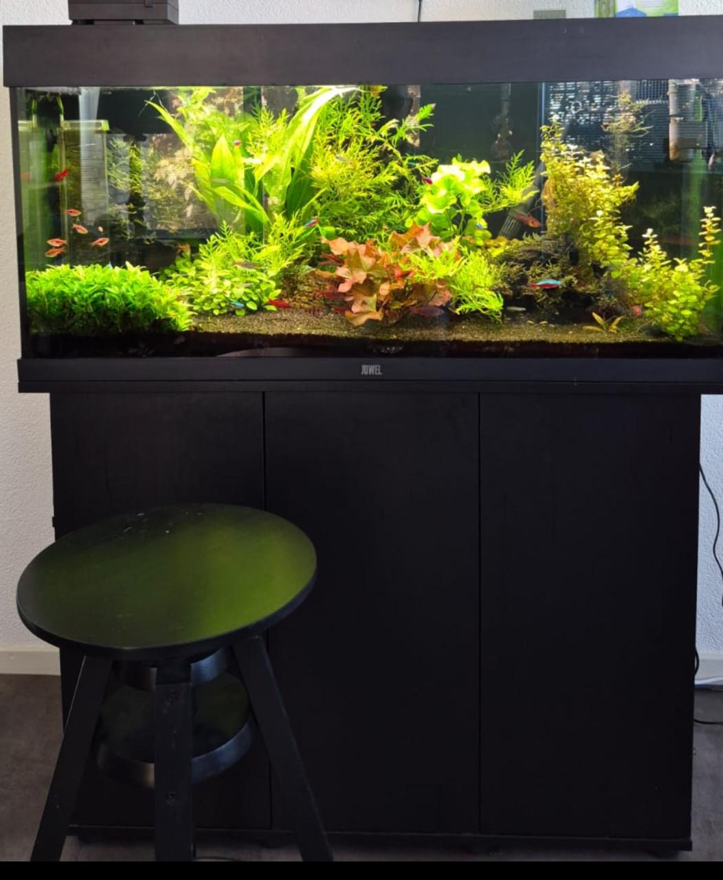 Te koop Juwel Rio 180