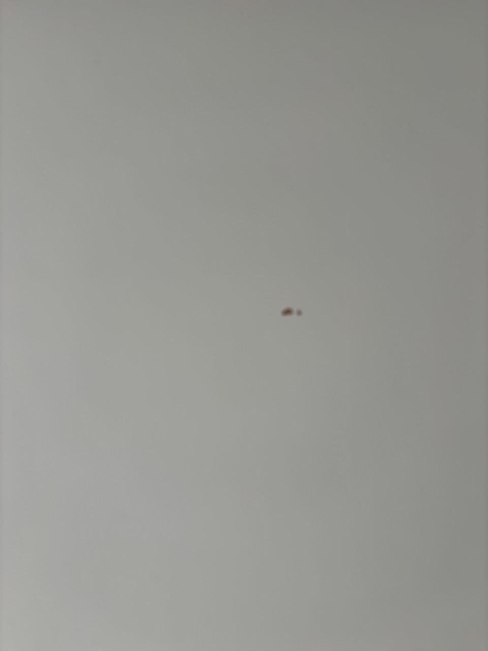 IKEA bed Smastad hoogslaper