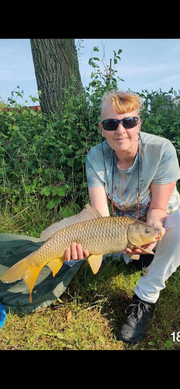 €17,50 voor een jaarvissen met 2 hengels in een zeer mooie Karper gebied.