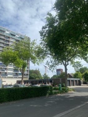 Garagesale  Dukdalf Terneuzen  Zaterdag 5Juli