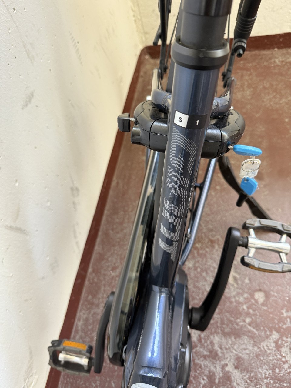 In nieuwe staat Giant Elektrische Fiets met twee accu’s