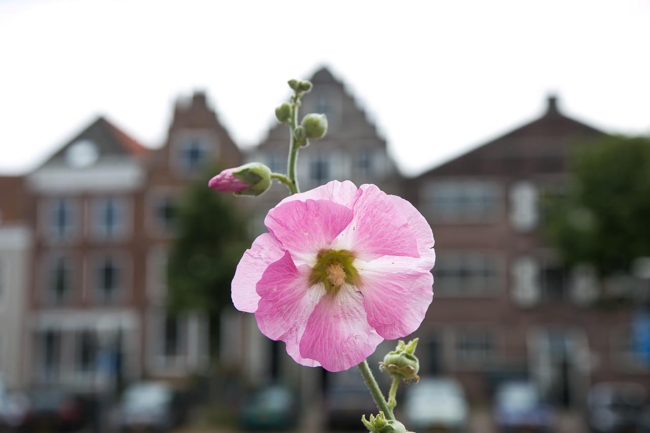 Fotoworkshop (groot) ouder en kind