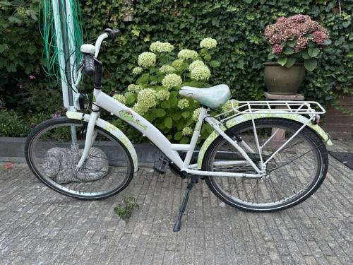 26 inch Meisjefiets Girl Fun