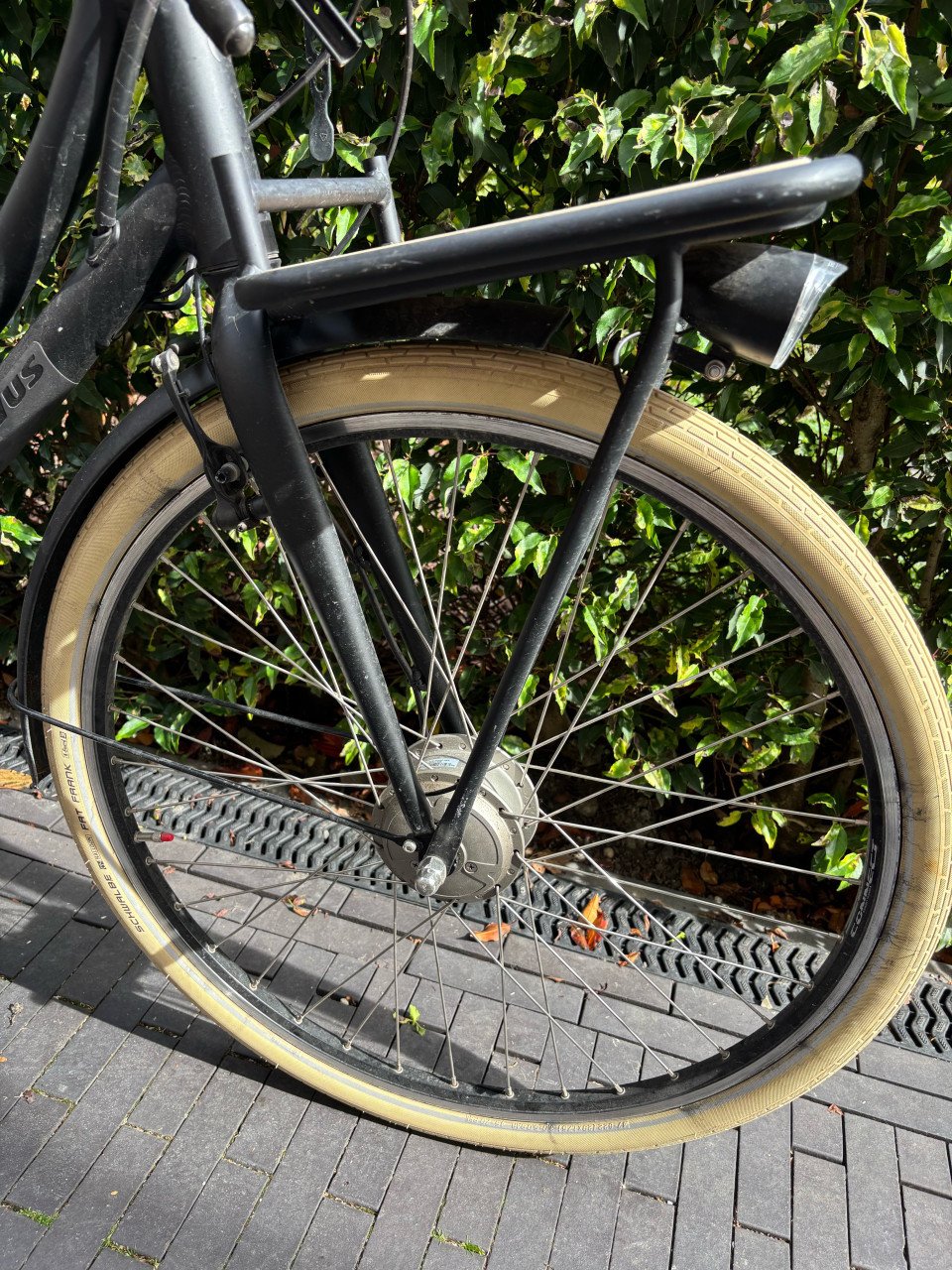 Elektrische dames fiets