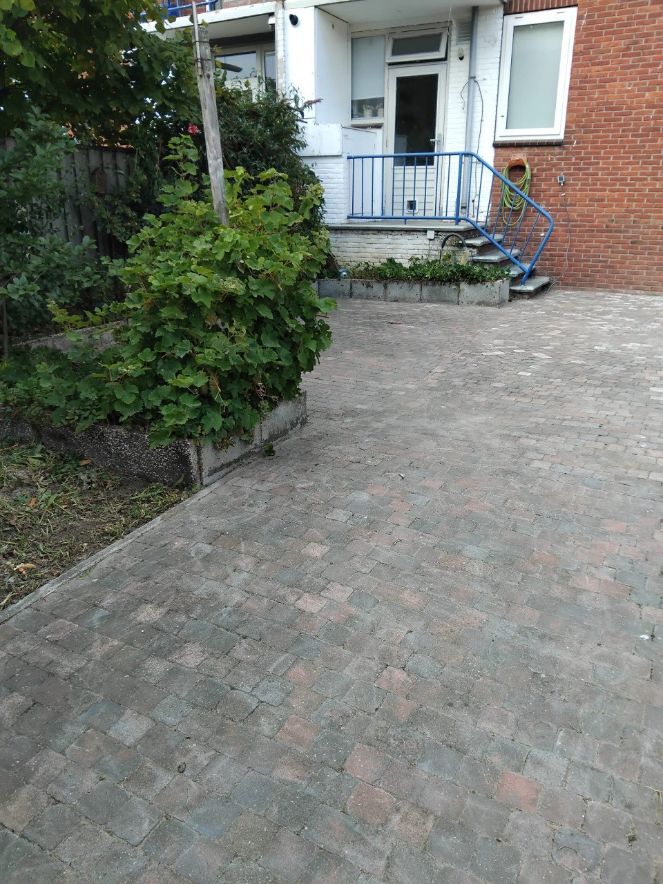 Onkruidverwijdering.