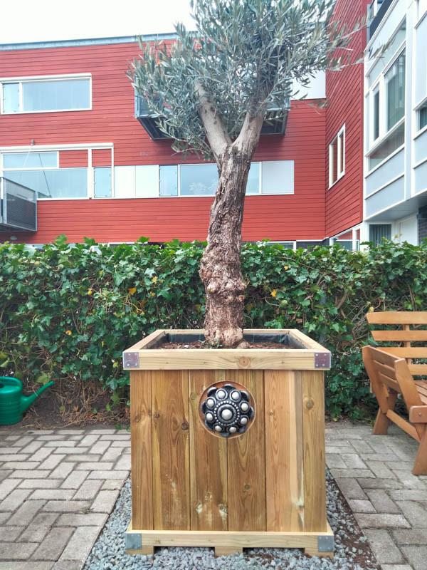 Zeeuwse knop bloembakken projecten ter inspiraties L85 x B85 x H75
