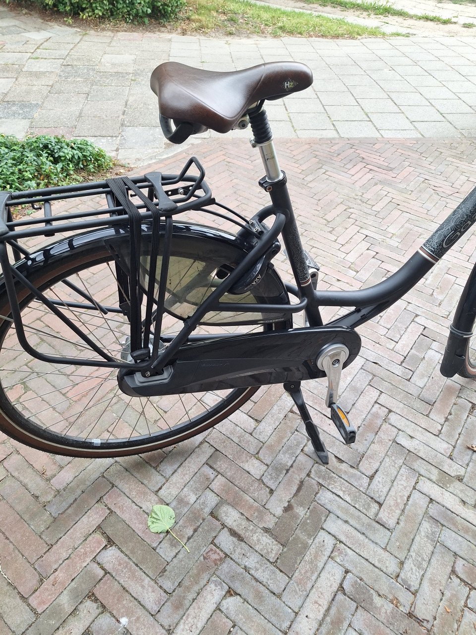 Gazelle Bloom - Moederfiets