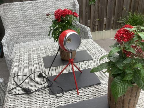 Red Eyeball Desk Lamp