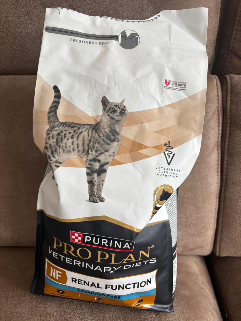 Dierenvoeding kat