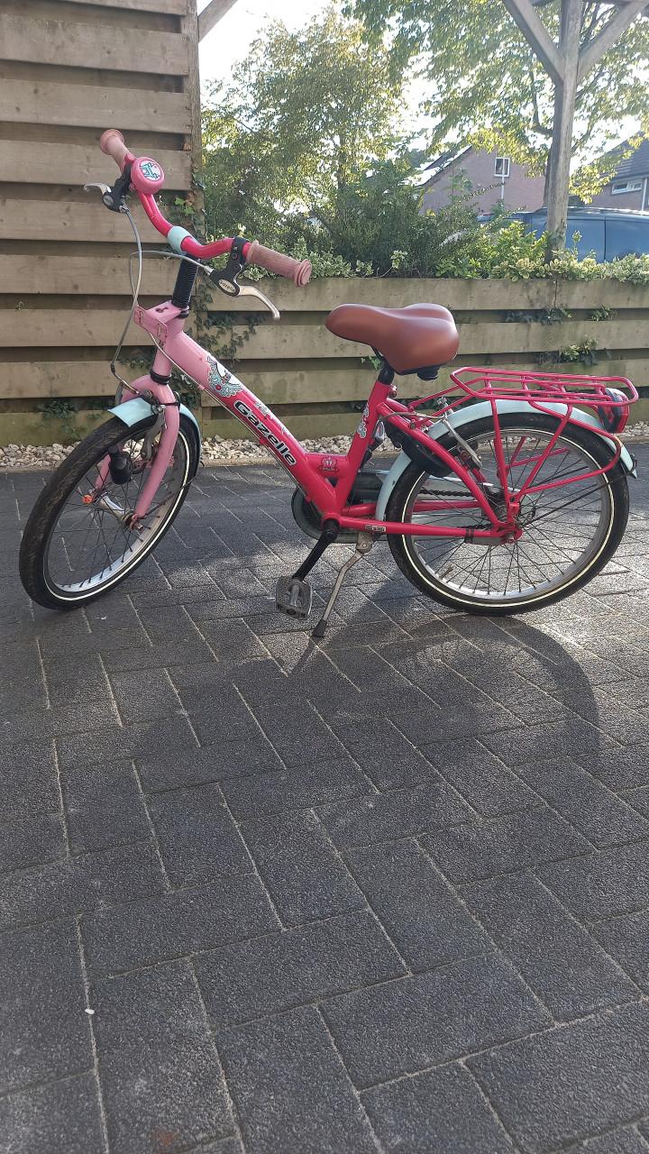 Meisjesfiets 20 inch