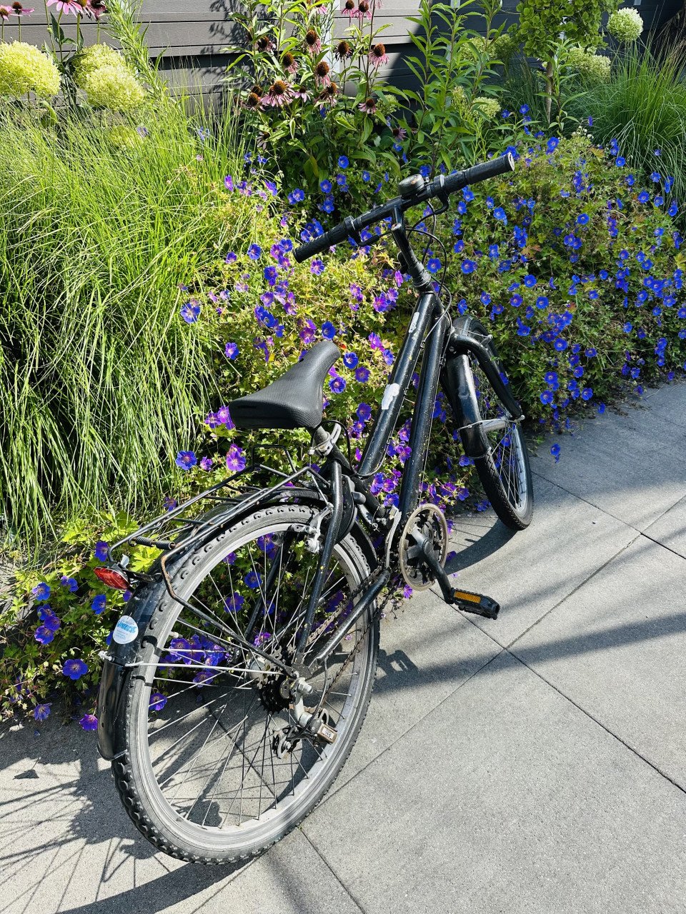 24 inch jongens fiets