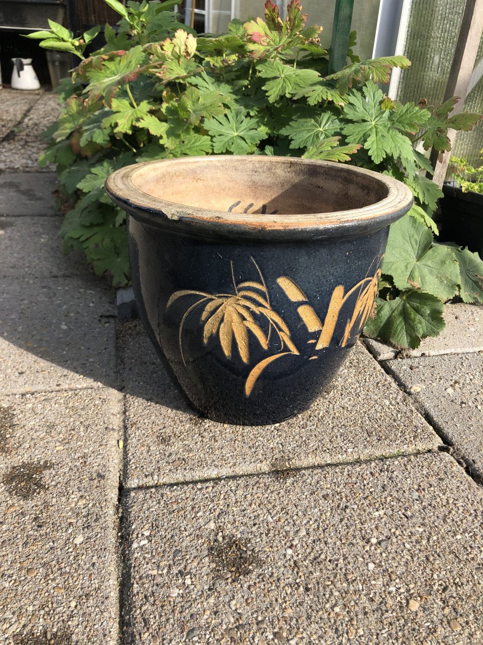 Bloempot