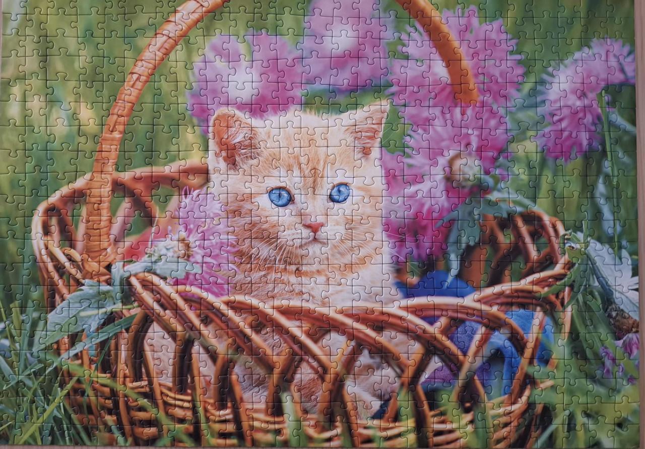 3 kattenpuzzels