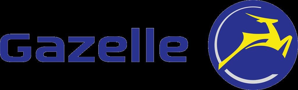 Verhuur van Gazelle E-bike's en stadsfietsen!