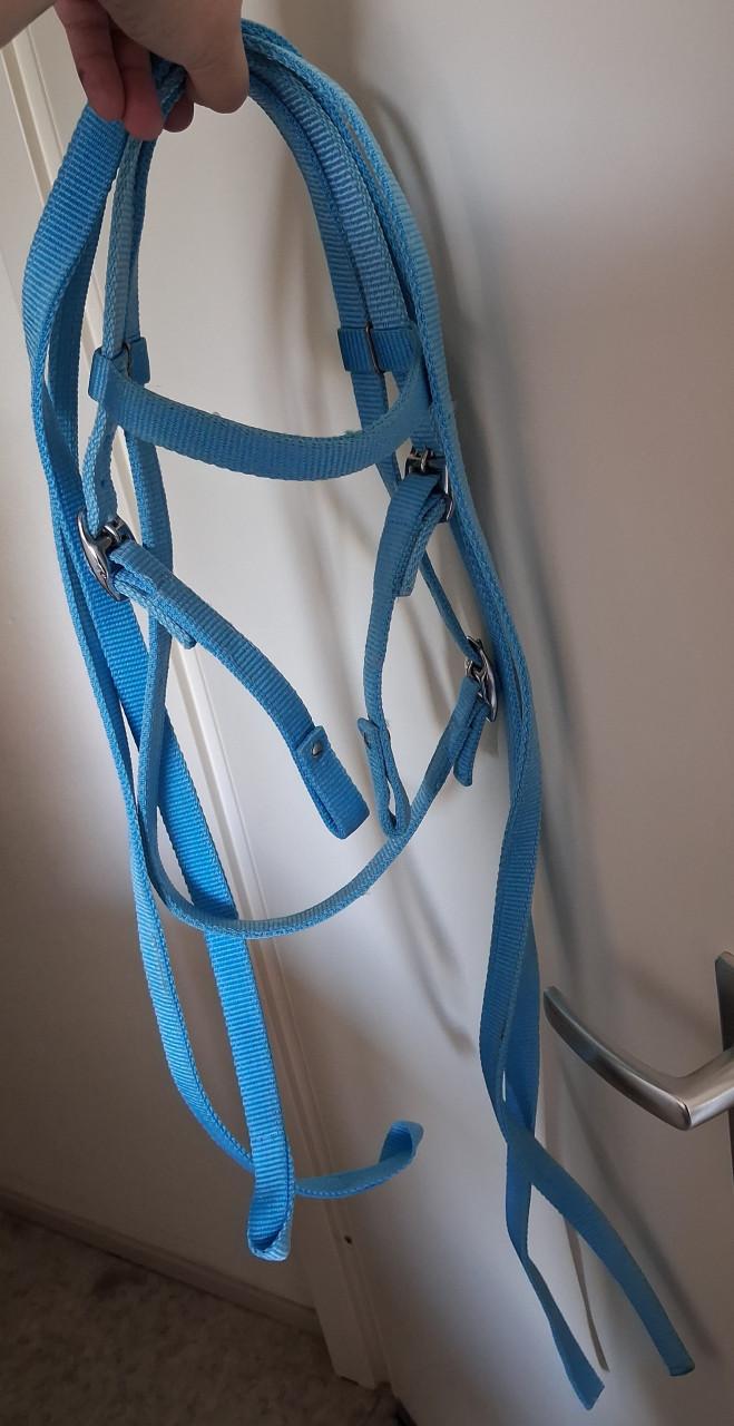 Pony hoofdstel met teugels Nylon western