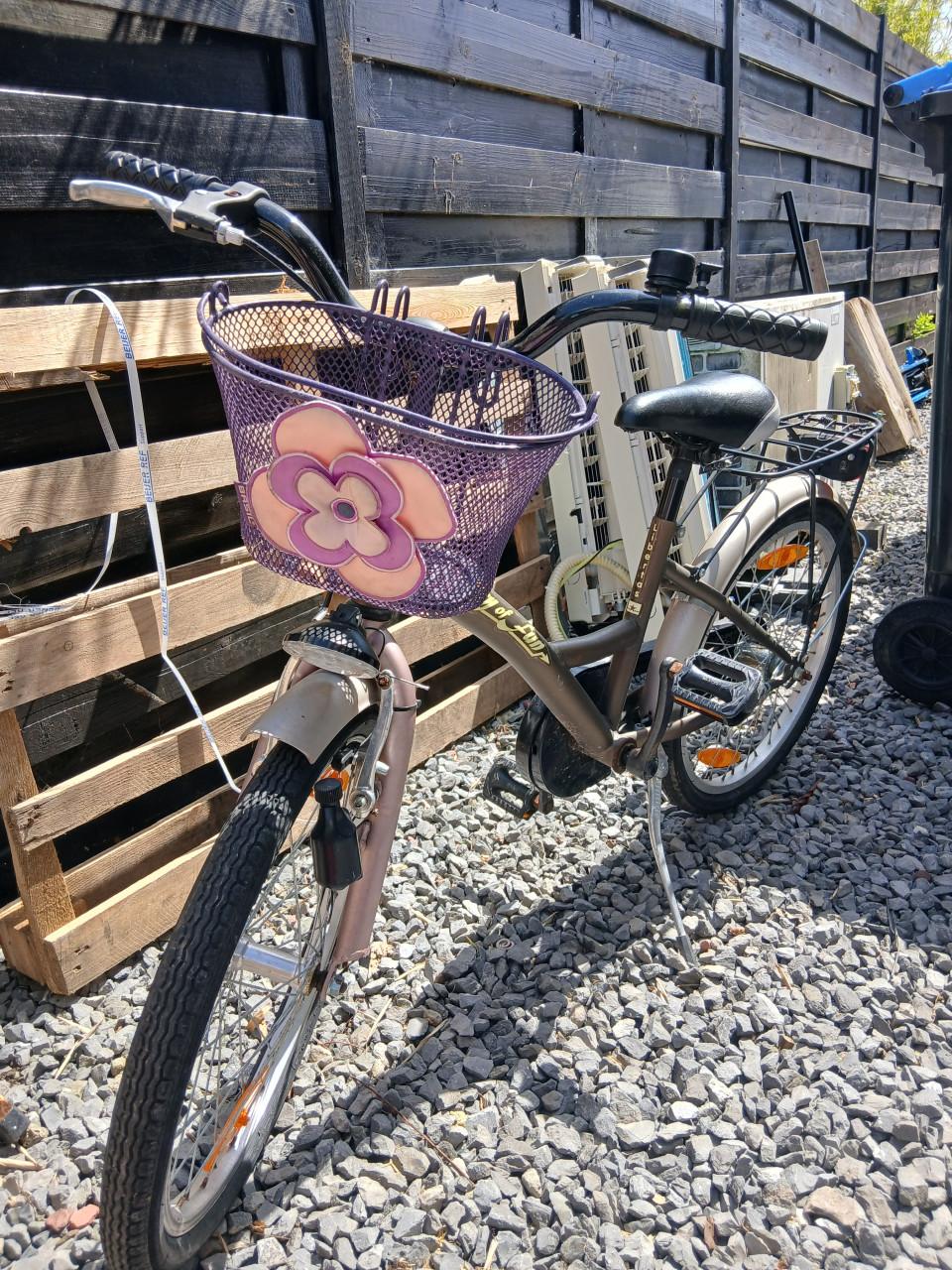 Meisjesfiets 20 inch